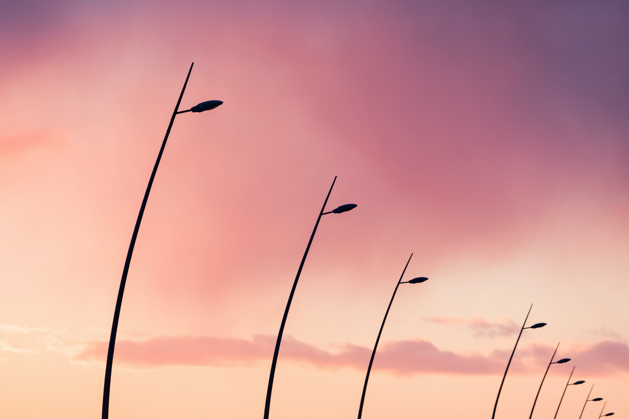 Silhouette of curved street lights during dramatic sunset pink sky